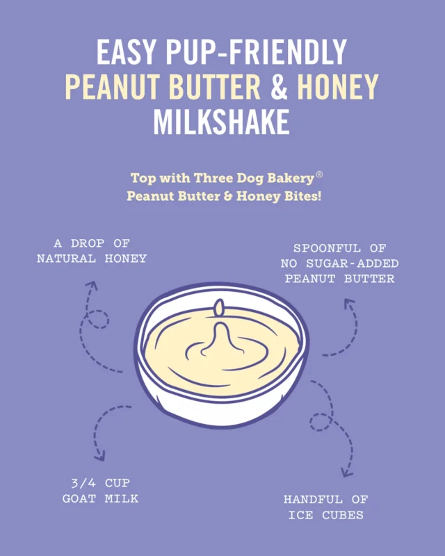 Just blend, serve and watch tails start wagging! 🥜 🍯Don’t forget the Peanut Butter & Honey Bites! Snag a bag on @amazon to get started. 📦#threedogbakery #dogrecipes #dogtreats #dogicecream #amazonfinds #petparents