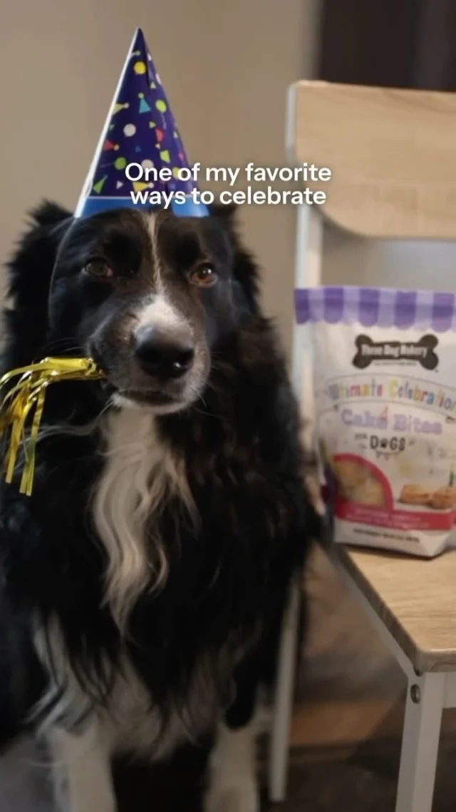 From fur-covered clothes to endless belly rubs on demand, dog mamas are a special breed. 💗🌸 As you celebrate you, celebrate them too. Because some treats taste better together!🎥: @curedbydogs#threedogbakery #mothersday #dogmom #mydogismybaby